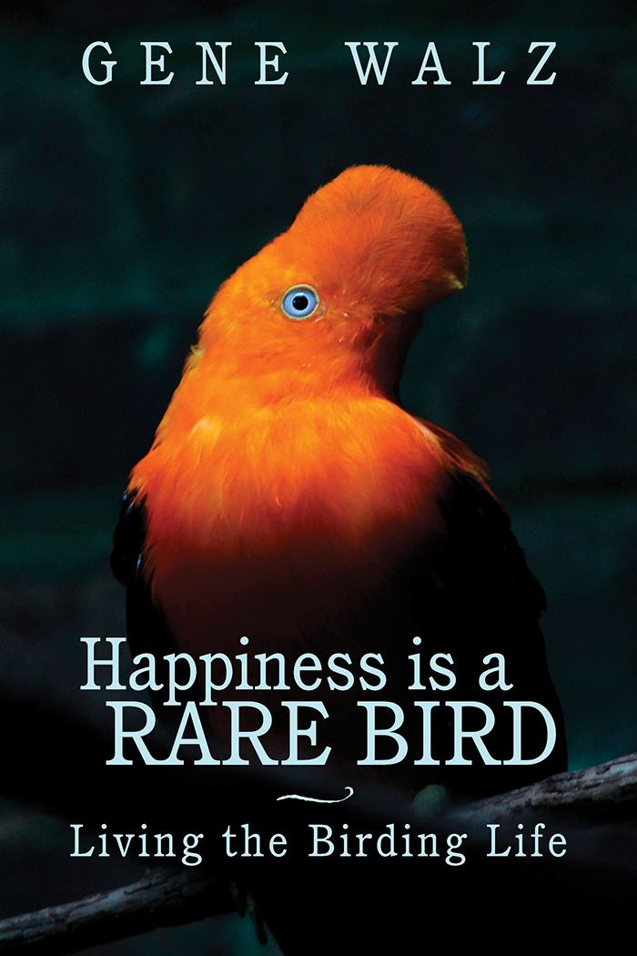 Happiness Is a Rare Bird
