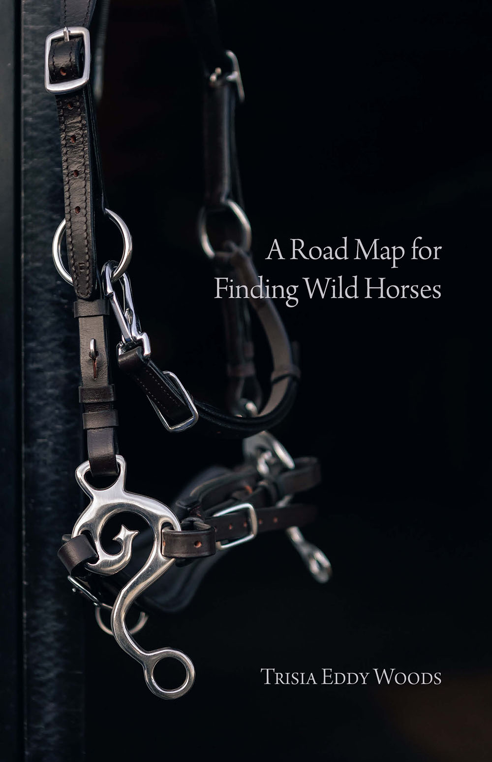 cover: A Road Map for Finding Wild Horses by Trisia Eddy Woods
