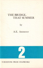 Bridge That Summer