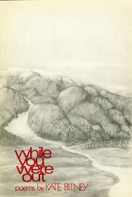 cover: While You Were Out by Kate Bitney