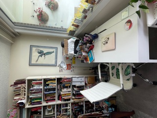 My Studio: Janice MacDonald